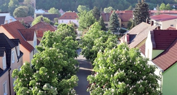 Kryrská alej (2).jpg